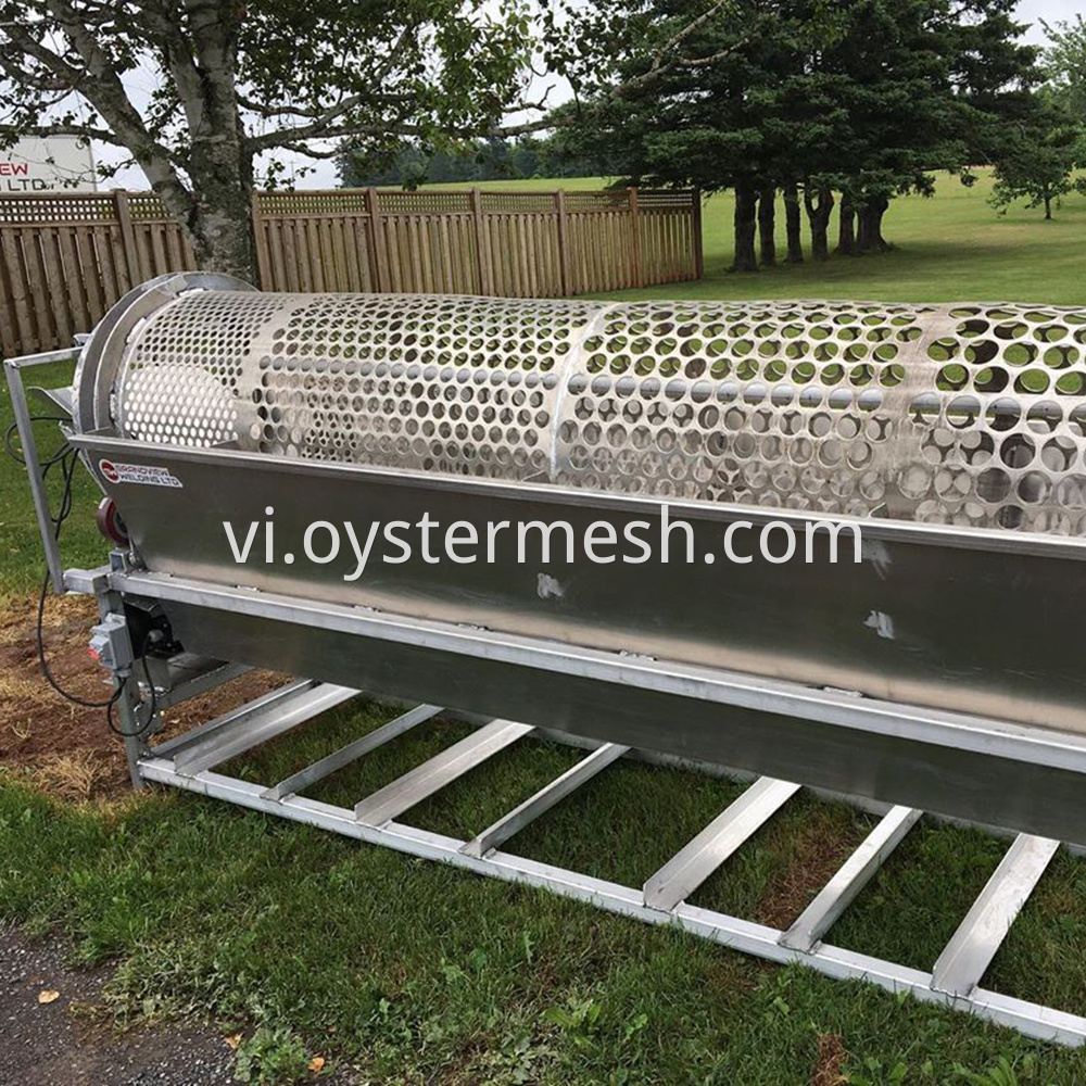 Appliance of Oyster Tumbler